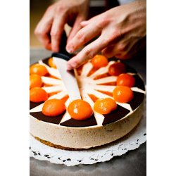 Rund 12 delt Zilaform