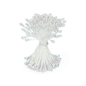 Stvdragere hvid sukkerblomster