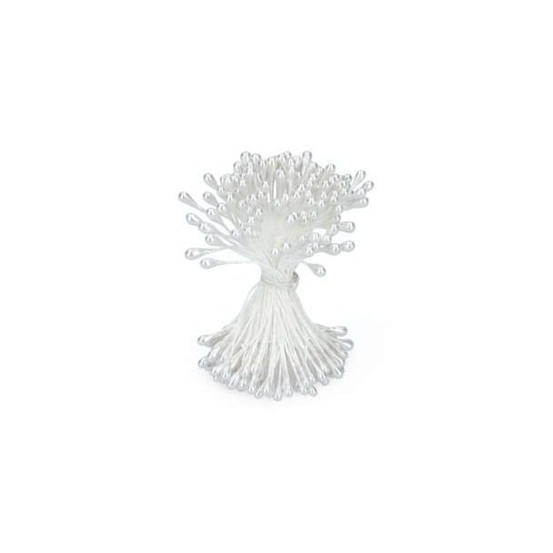 Stvdragere hvid sukkerblomster