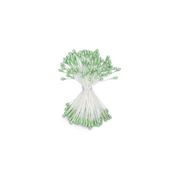 Stvdragere grn sukkerblomster